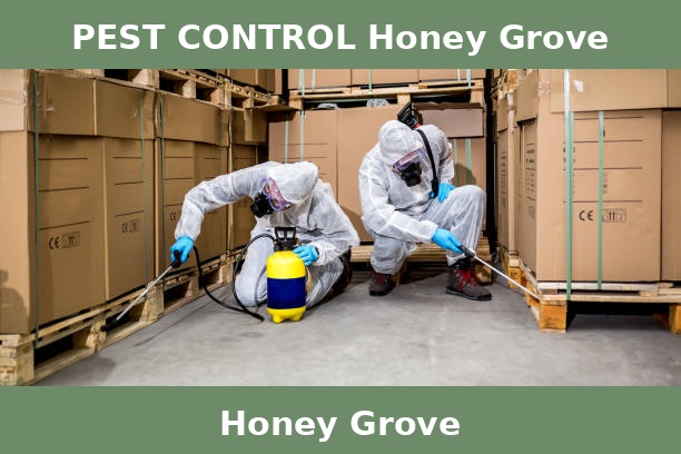 PEST CONTROL Honey Grove